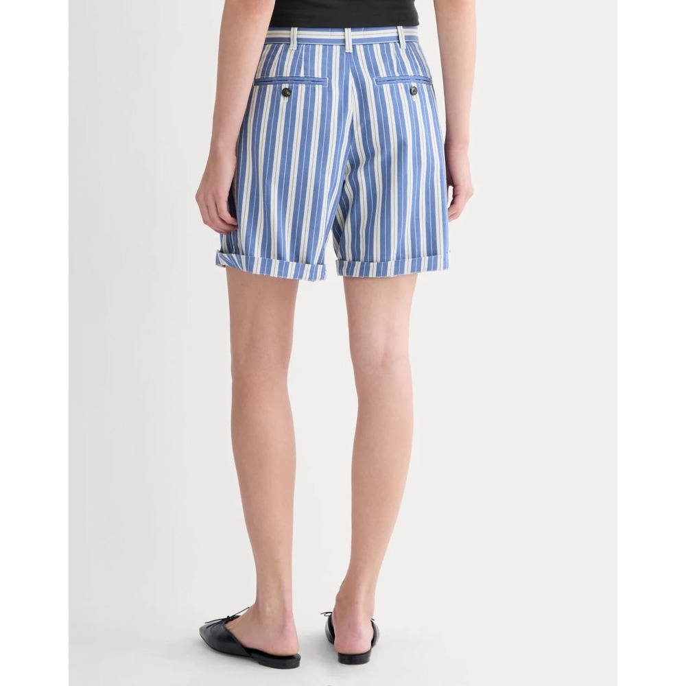 Everlane Womens Blue White Striped Pleated Chino Organic Cotton Shorts Size 14 - Picture 2 of 7